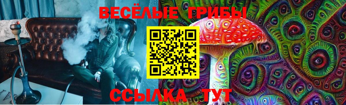 Галлюциногенные грибы Psilocybe  Псилоцибиновые грибы MAGIC MUSHROOMS  Вход с VPN  Знаменск 