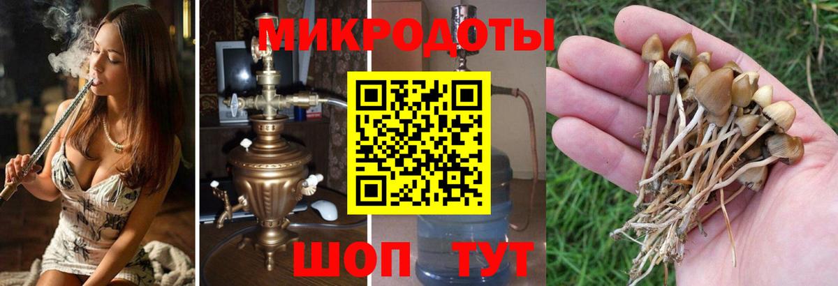 Галлюциногенные грибы ЛСД Знаменск